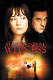 hd-The Accidental Witness