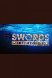 hd-Swords: Life on the Line
