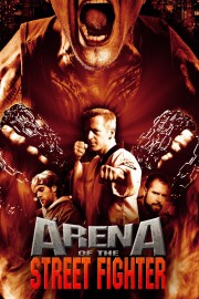 hd-Arena of the Street Fighter