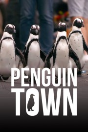 hd-Penguin Town