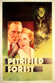 hd-The Petrified Forest